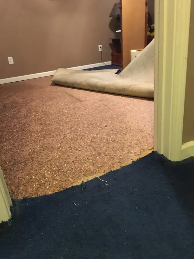 Carpet pad removal revealing water damage during Drying & Dehumidification in Jupiter
