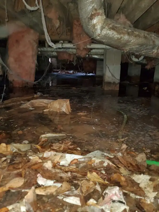 Crawl space flood assessment for Leak Detection & Repair in Jupiter